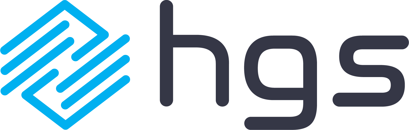 HGS