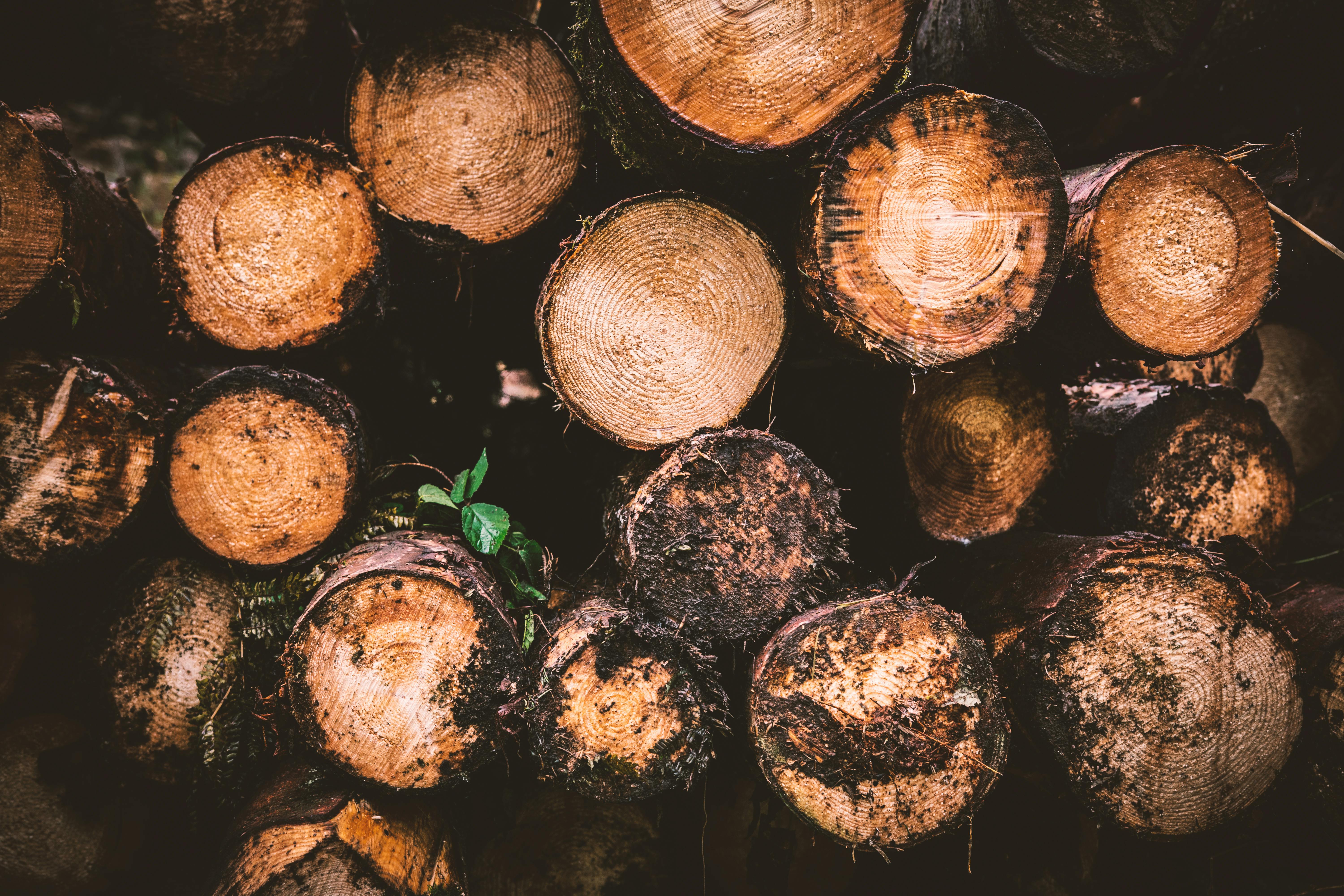 Essential marketing metrics that fuel growth and drive ROI