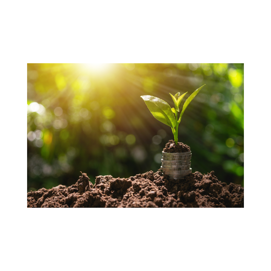 Boosting Business Growth with the People Process Technology Framework